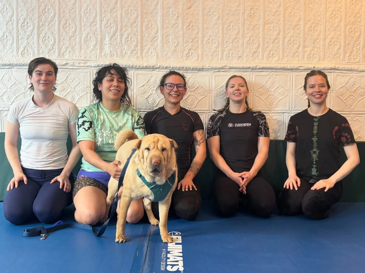 Thanks for visiting Shandy and Beanie! 

#jadefortressmartialarts #bjj #bjjsteroids #womensupportingwomen #woof