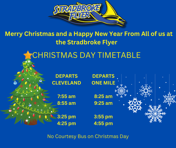 Christmas Day Travel Stradbroke Flyer Gold Cat christmas-day-travel-stradbroke-flyer-gold-cat