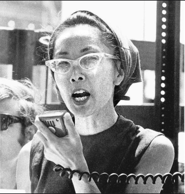 Asian American History: The Asian American Civil Rights Movement