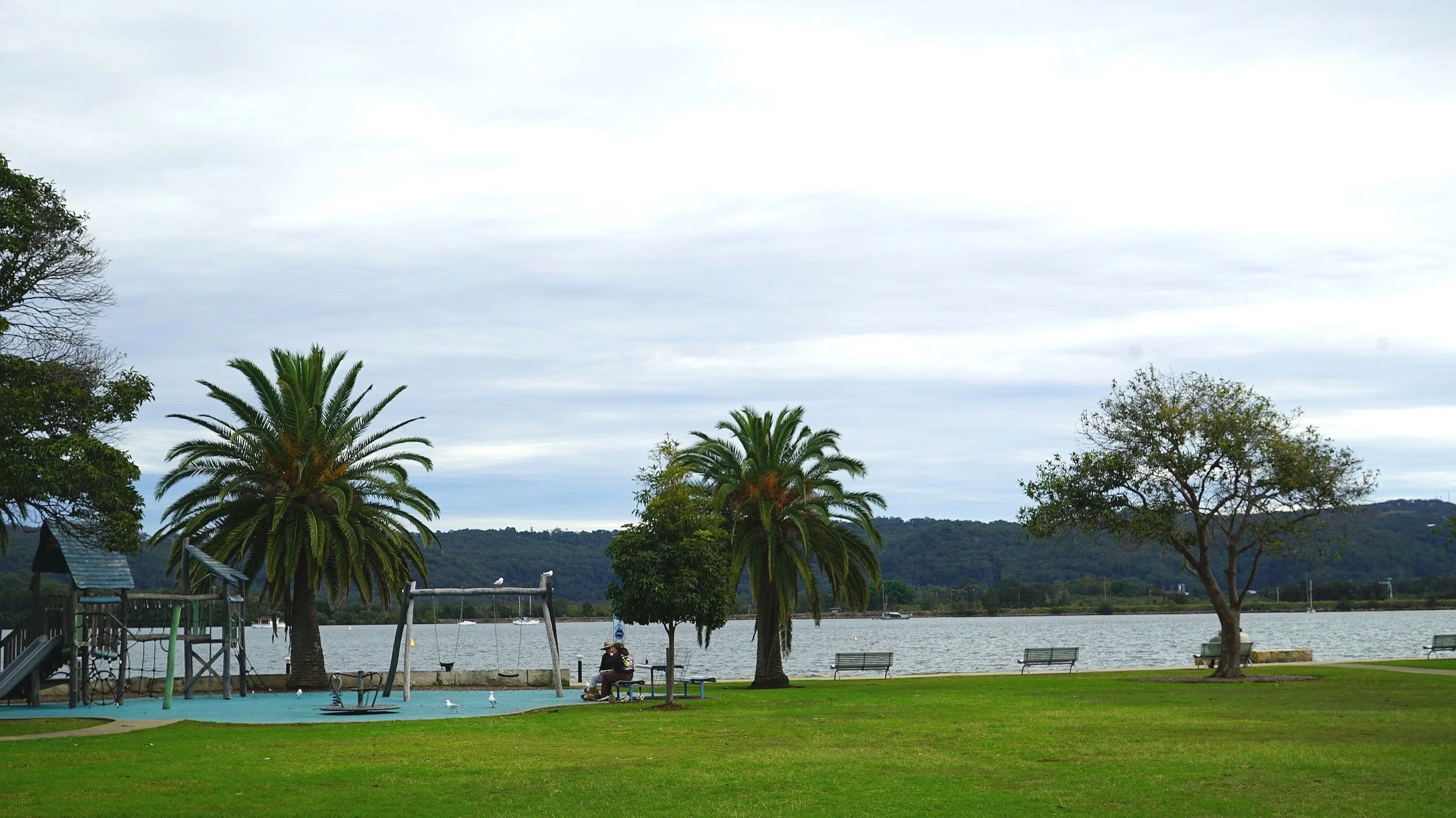 DSC00829.jpg