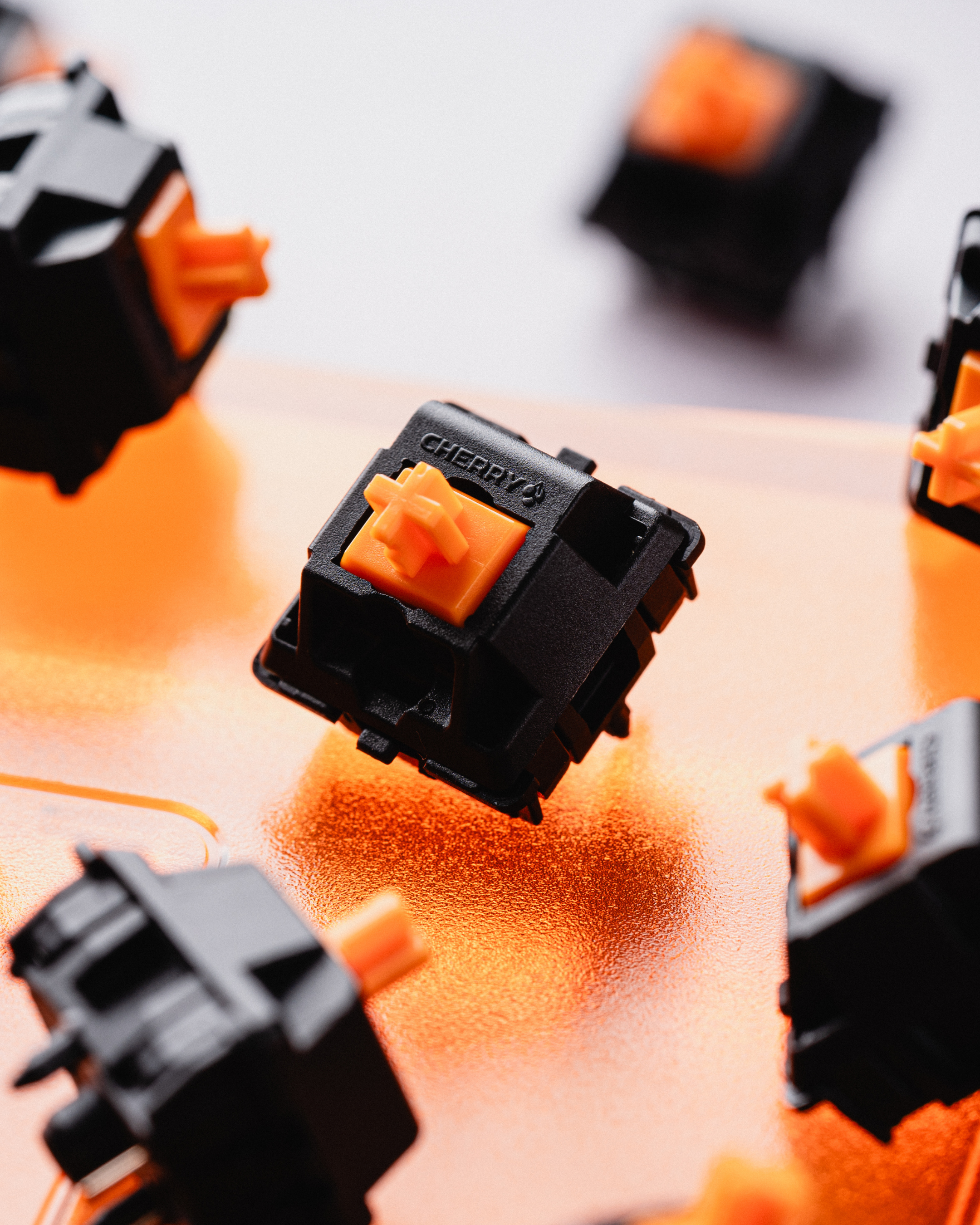 Untitled design - 14.png