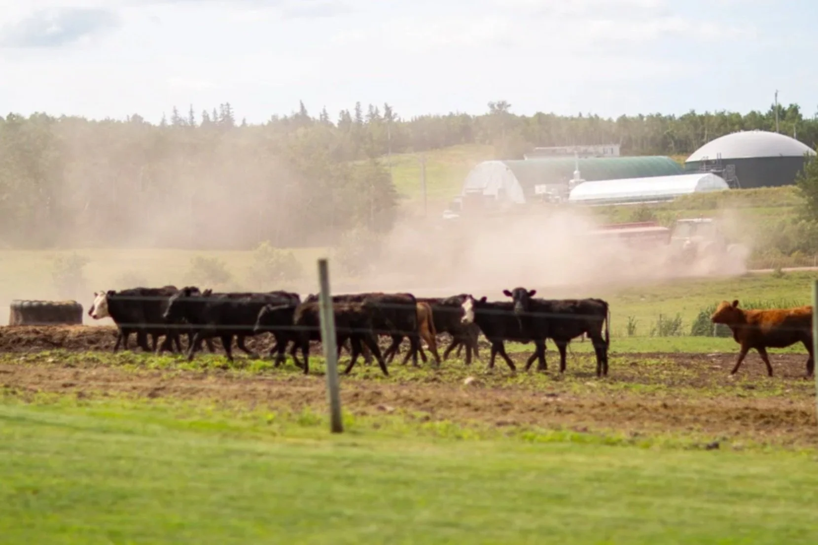 Skye Glen Cremery - Whycocomagh