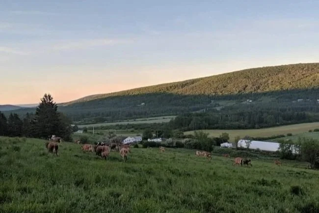 Forever Green Farm & Gardens - Tracadie