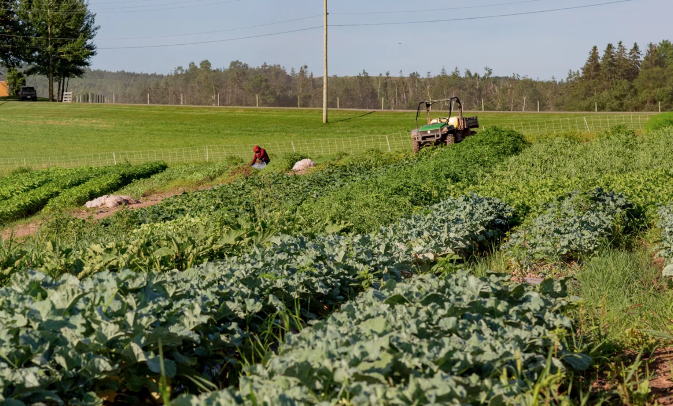 Forever Green Farm & Gardens - Tracadie