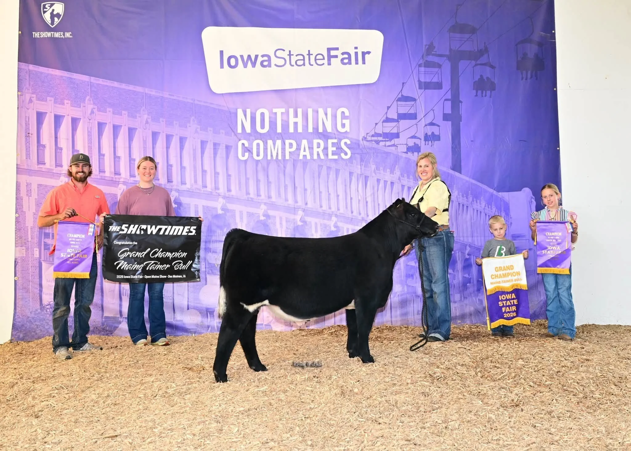 Champion Mainetainer Bull - 2026 Iowa State Fair