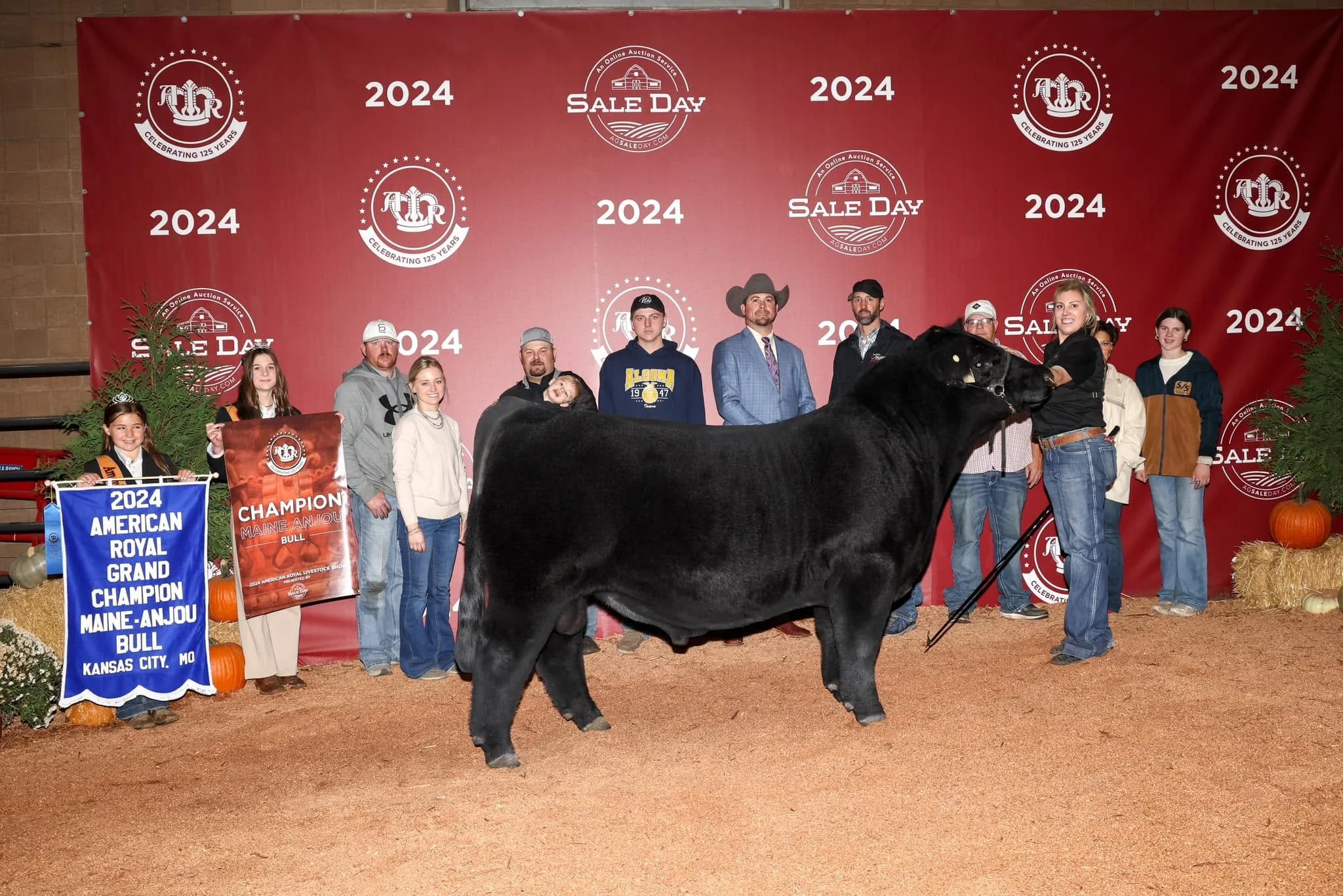 Champion High Maine Bull - 2024 American Royal
