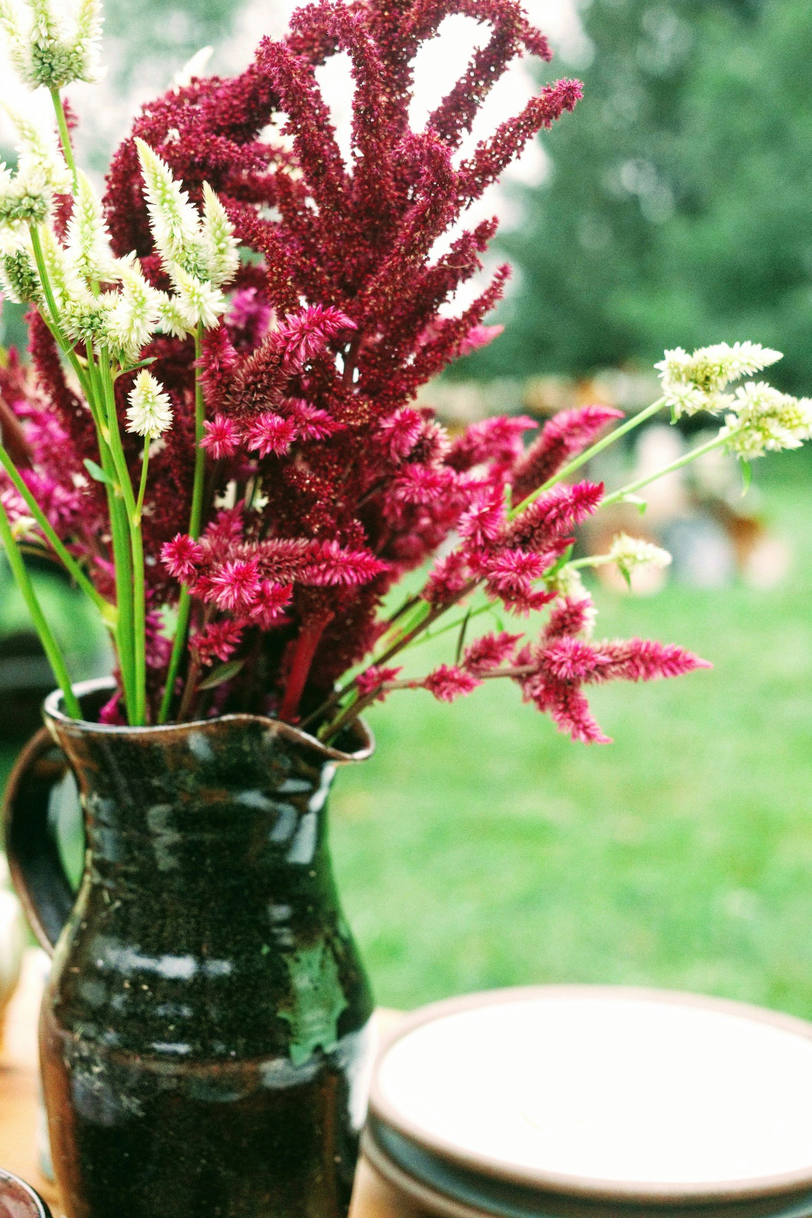 Spring- Summer 2026 pottery course
