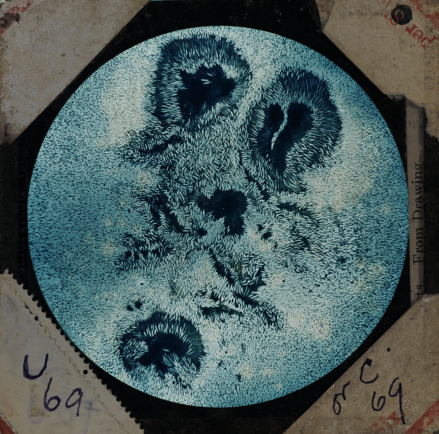 Screenshot 2026-01-29 at 3.41.36 PM.png