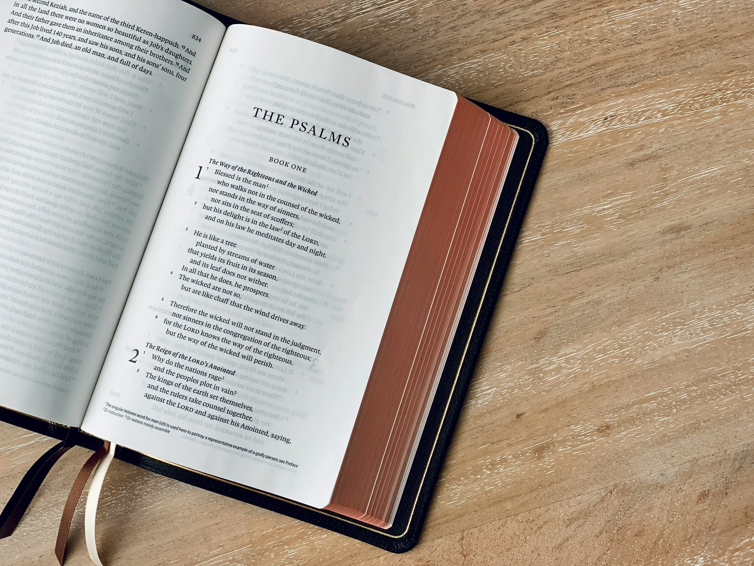 How to Study the Bible: Psalms