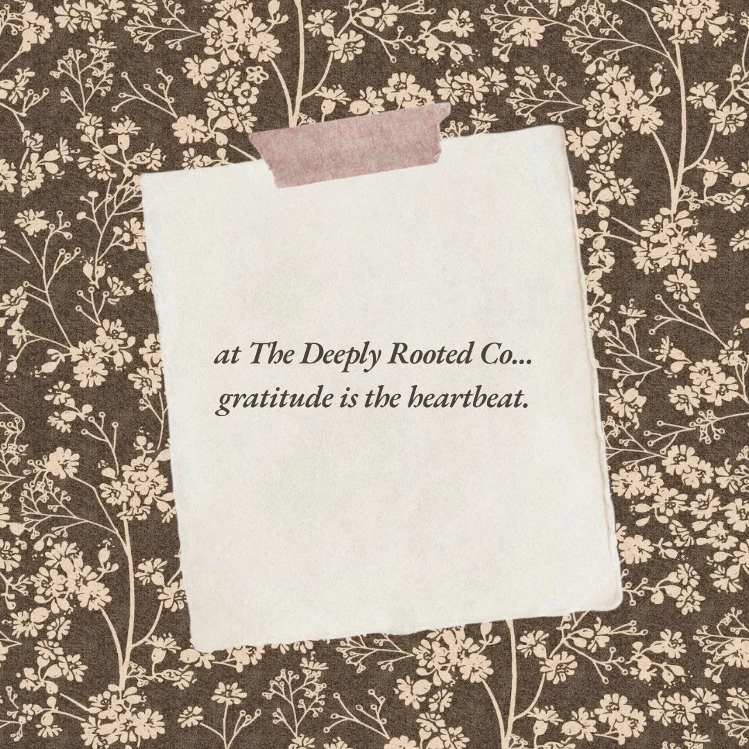 Thanksgiving has always been my favorite holiday. An entire day that we pause with one sole purpose: gratitude. Noticing the abundance that&rsquo;s already here. 

More and more lately, I wake up and look around and think, &ldquo;I don&rsquo;t have m