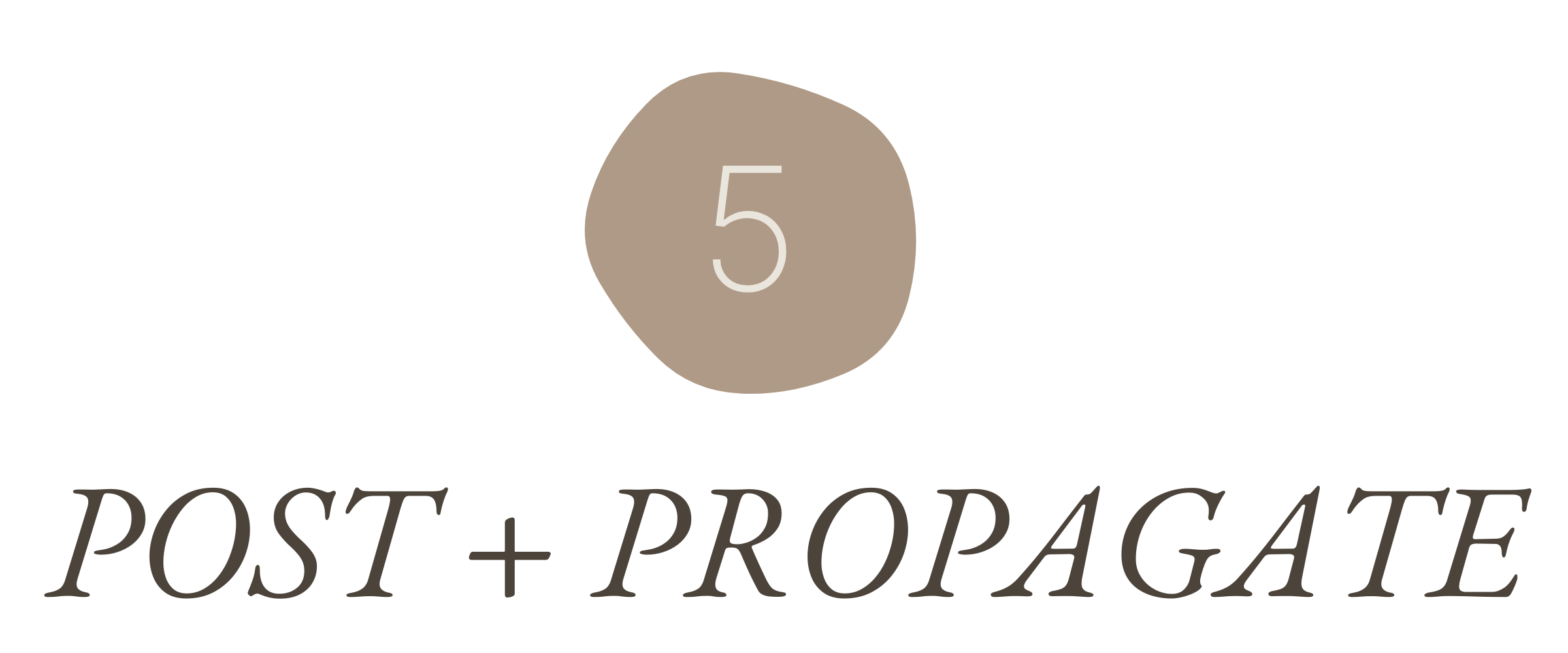 blog-step-5.png
