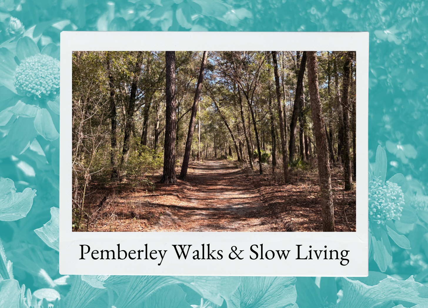 What Pemberley Walks Have Shown Me About Slow Living