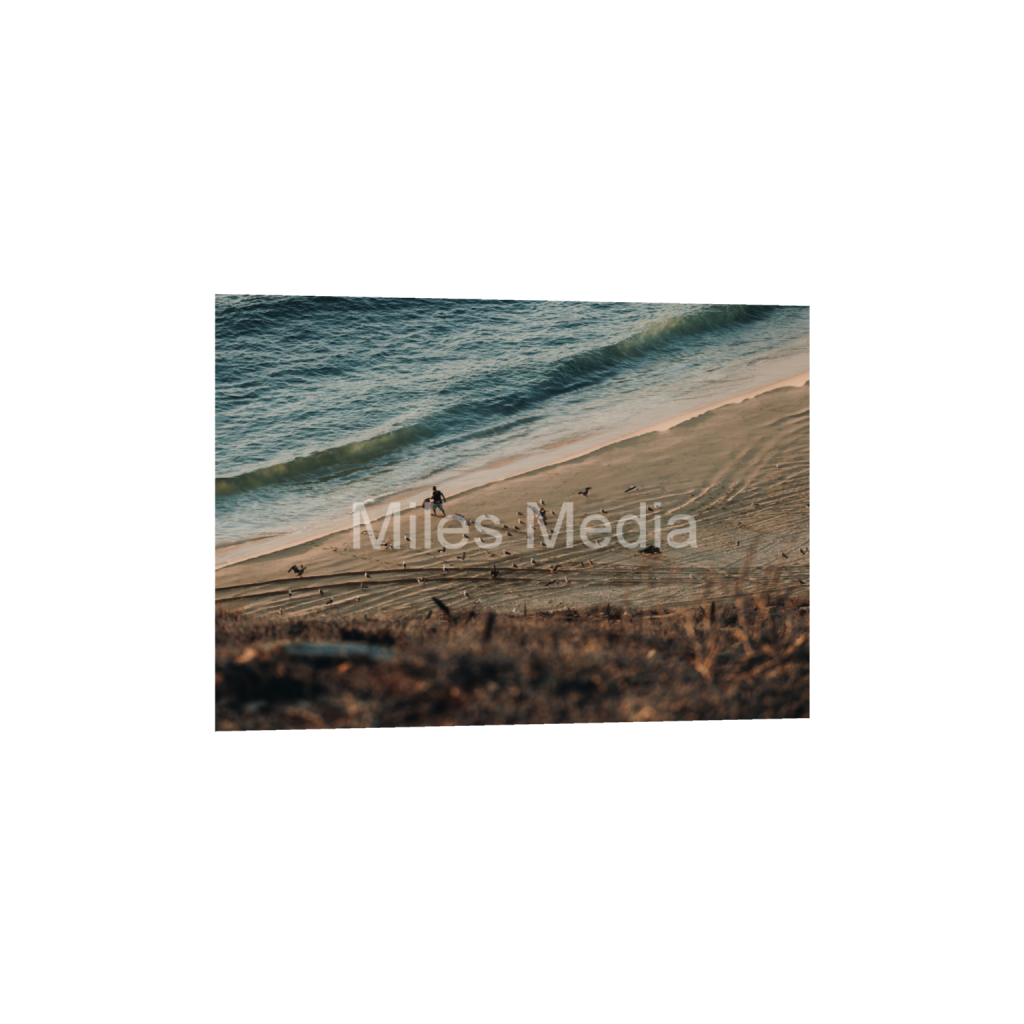 ptq_1_7_271_0_7649_5464_0_false_ffffff_0_0_c0bf8fc3ec0179a98522414969a1fcfb.png