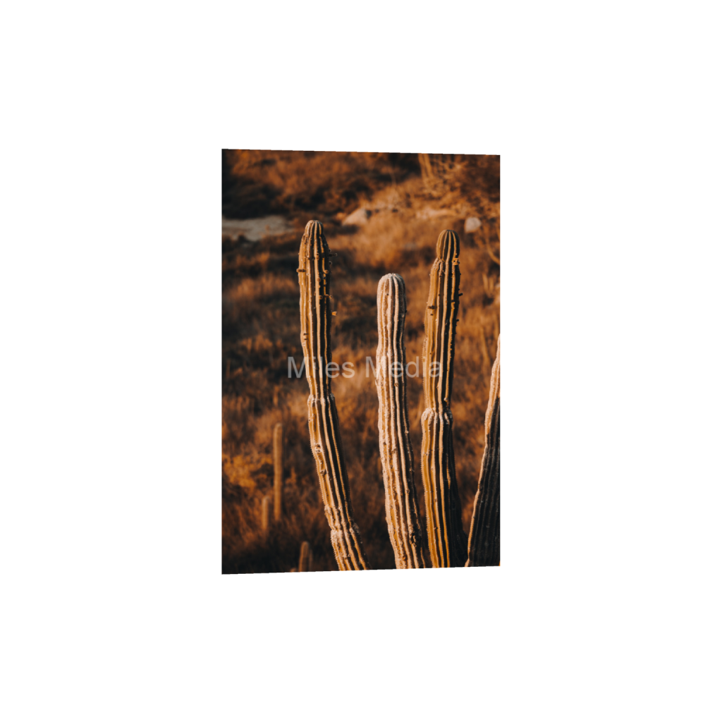 ptq_34_3_1_0_5461_8192_0_false_ffffff_0_0_c0bf8fc3ec0179a98522414969a1fcfb.png