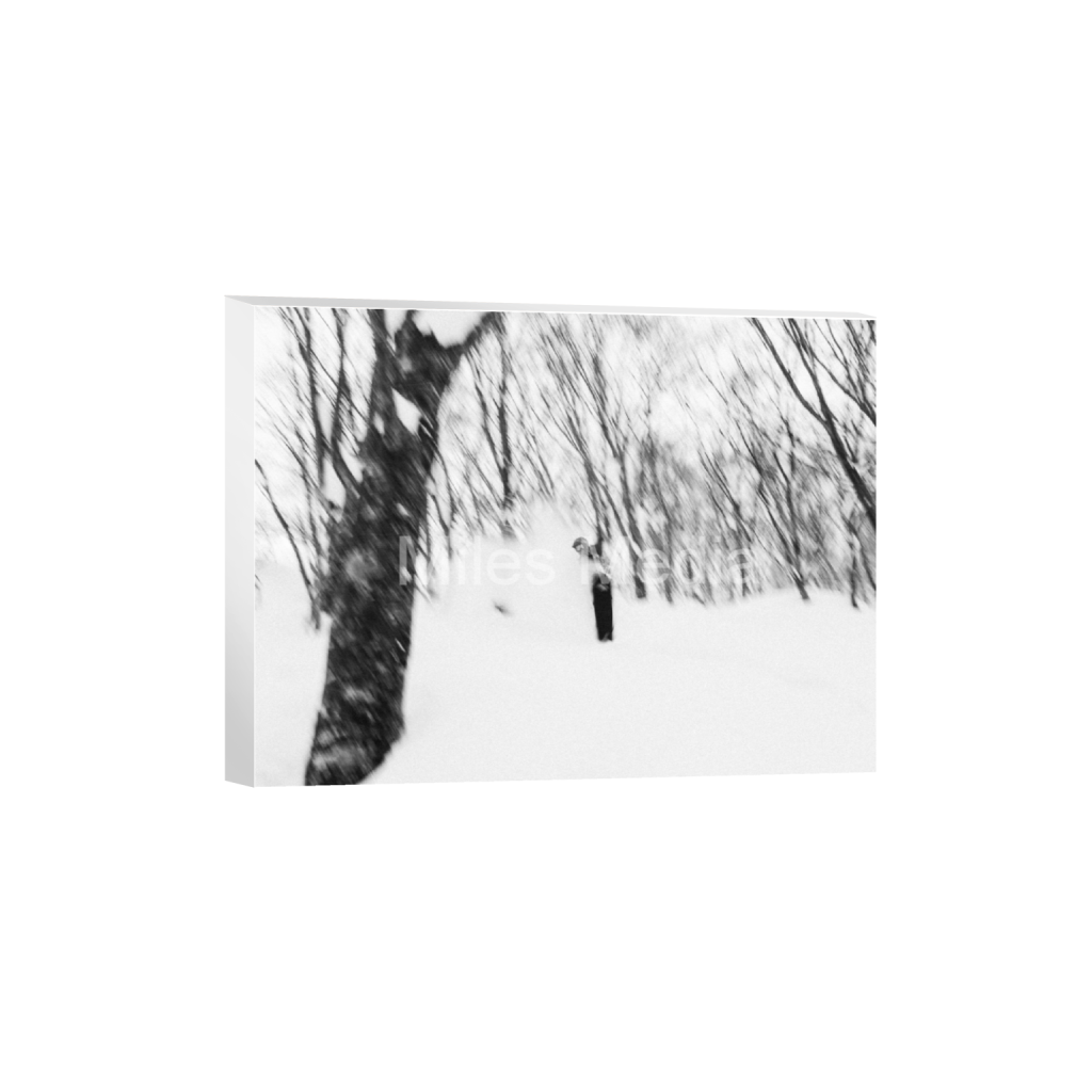 ptq_7_5_438_0_7046_5285_0_false_ffffff_0_0_c0bf8fc3ec0179a98522414969a1fcfb.png
