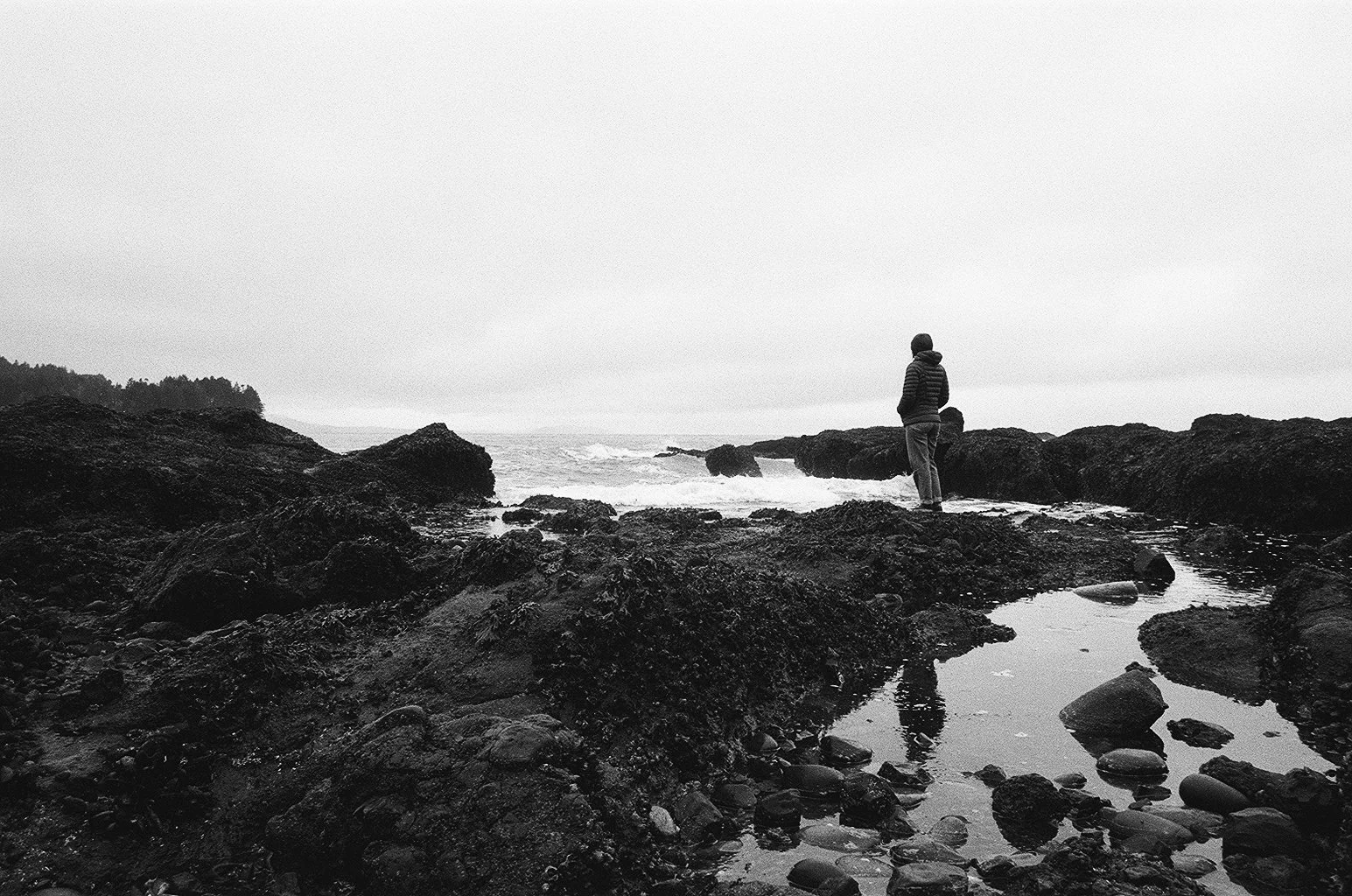 000251970022.jpg