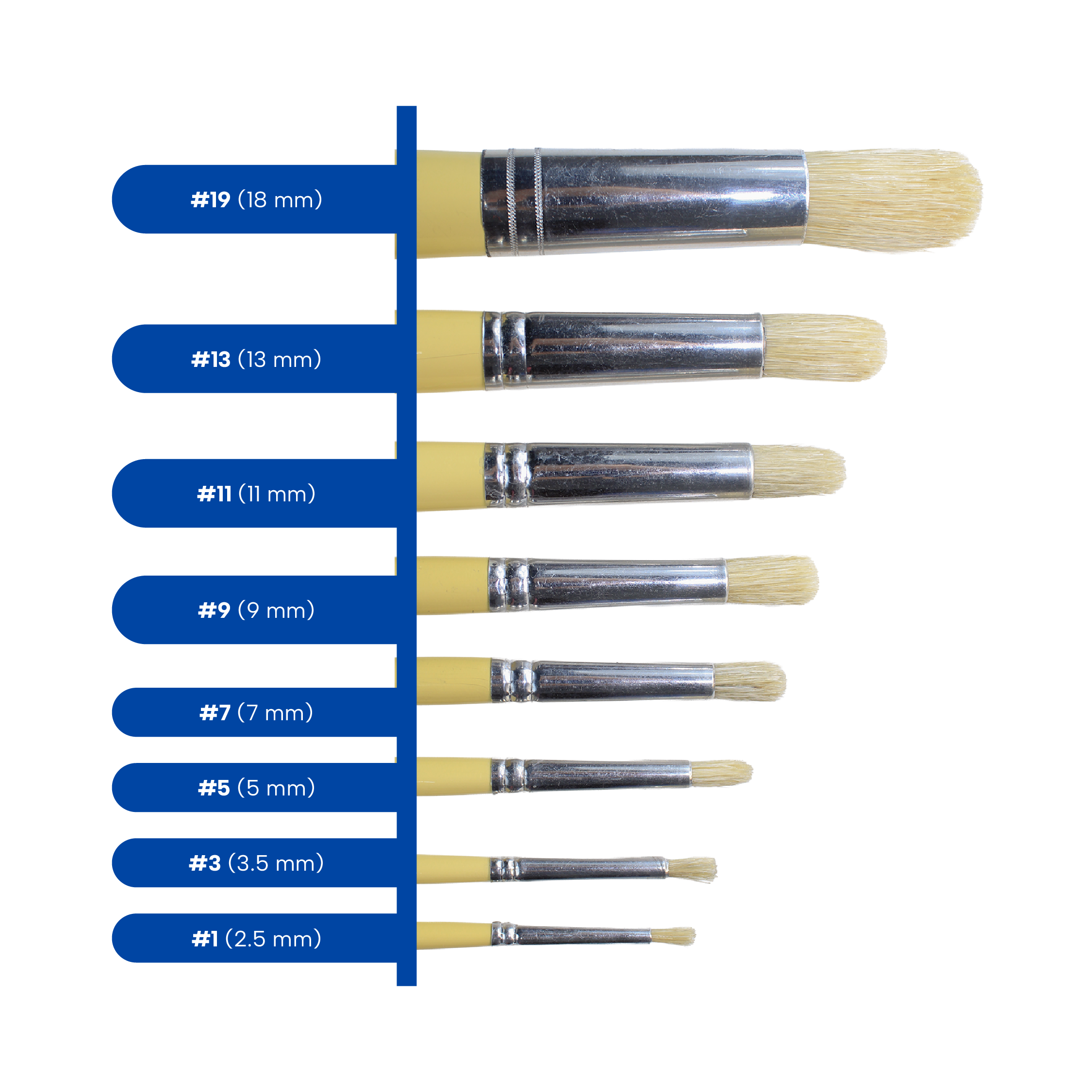 1200 Redondo_Web 3.png