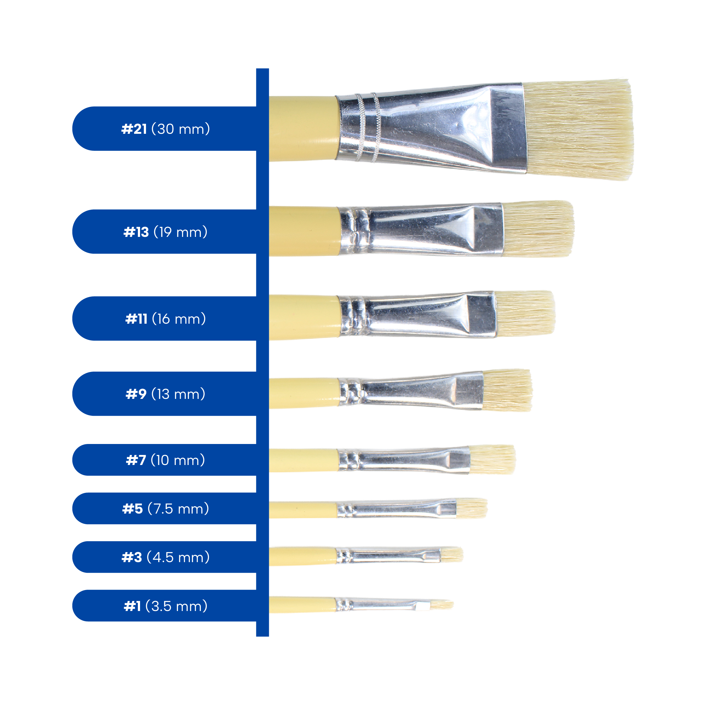 1200 Plano_Web 3.png