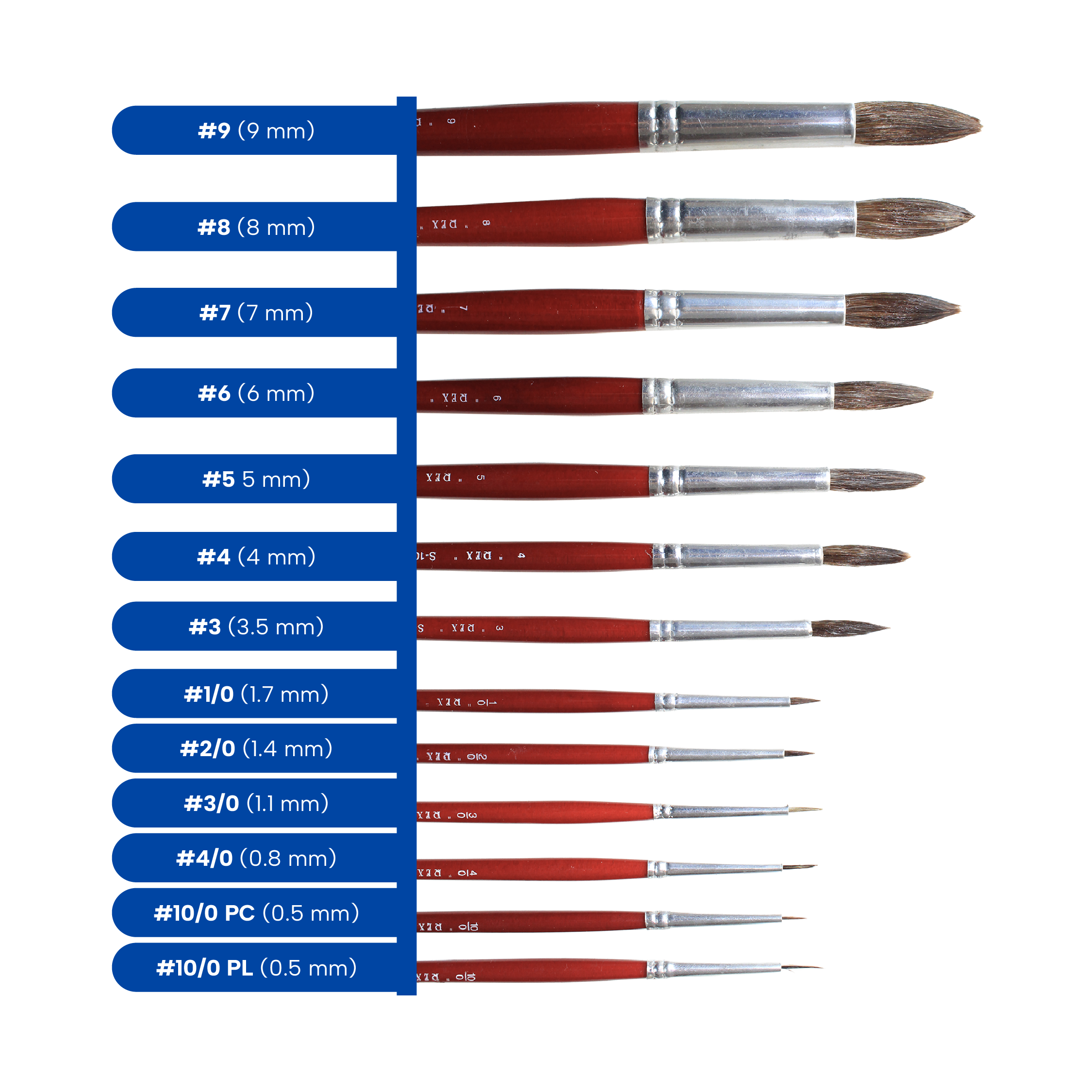 100 Redondo_Web 3.png