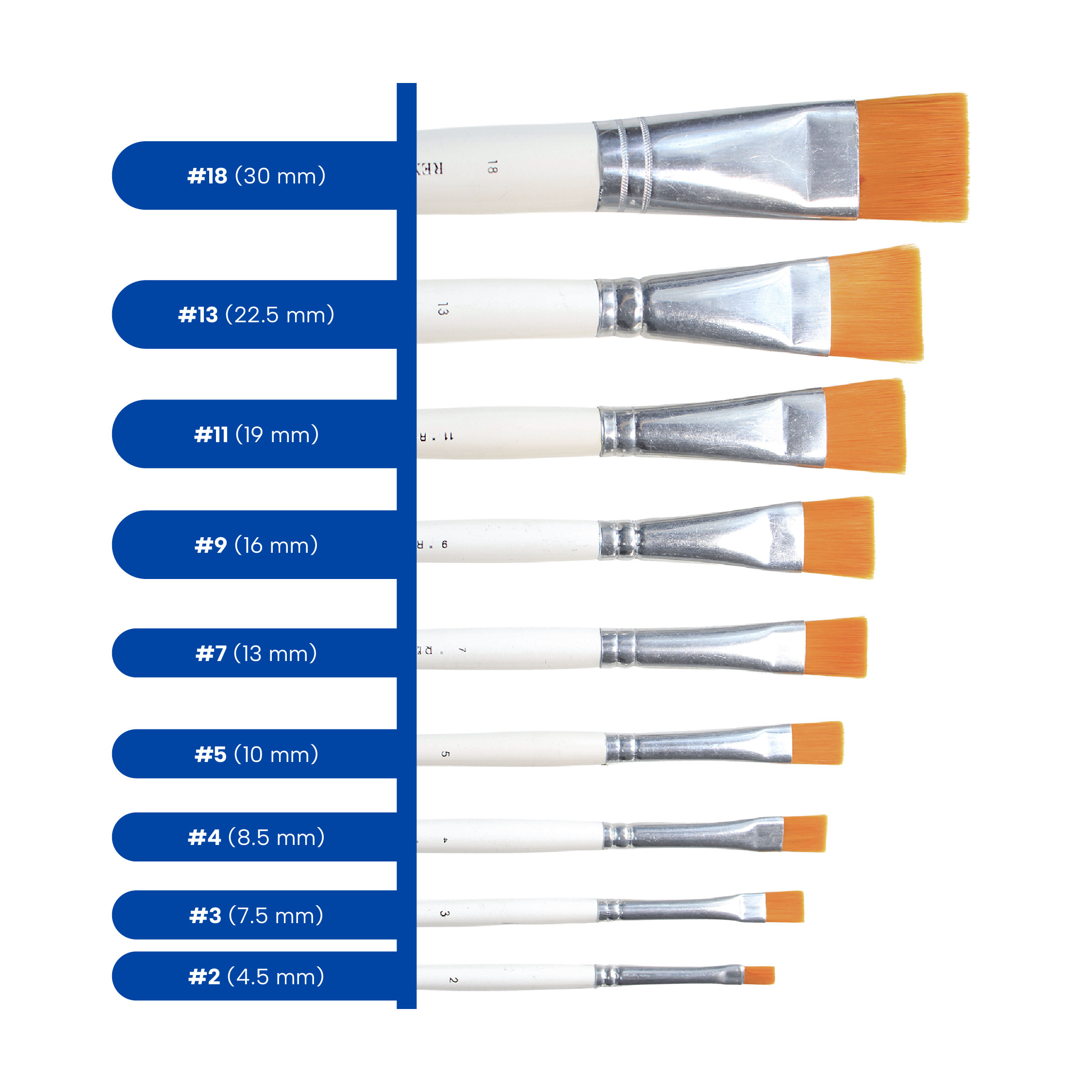 1600 Plano PC_03.png