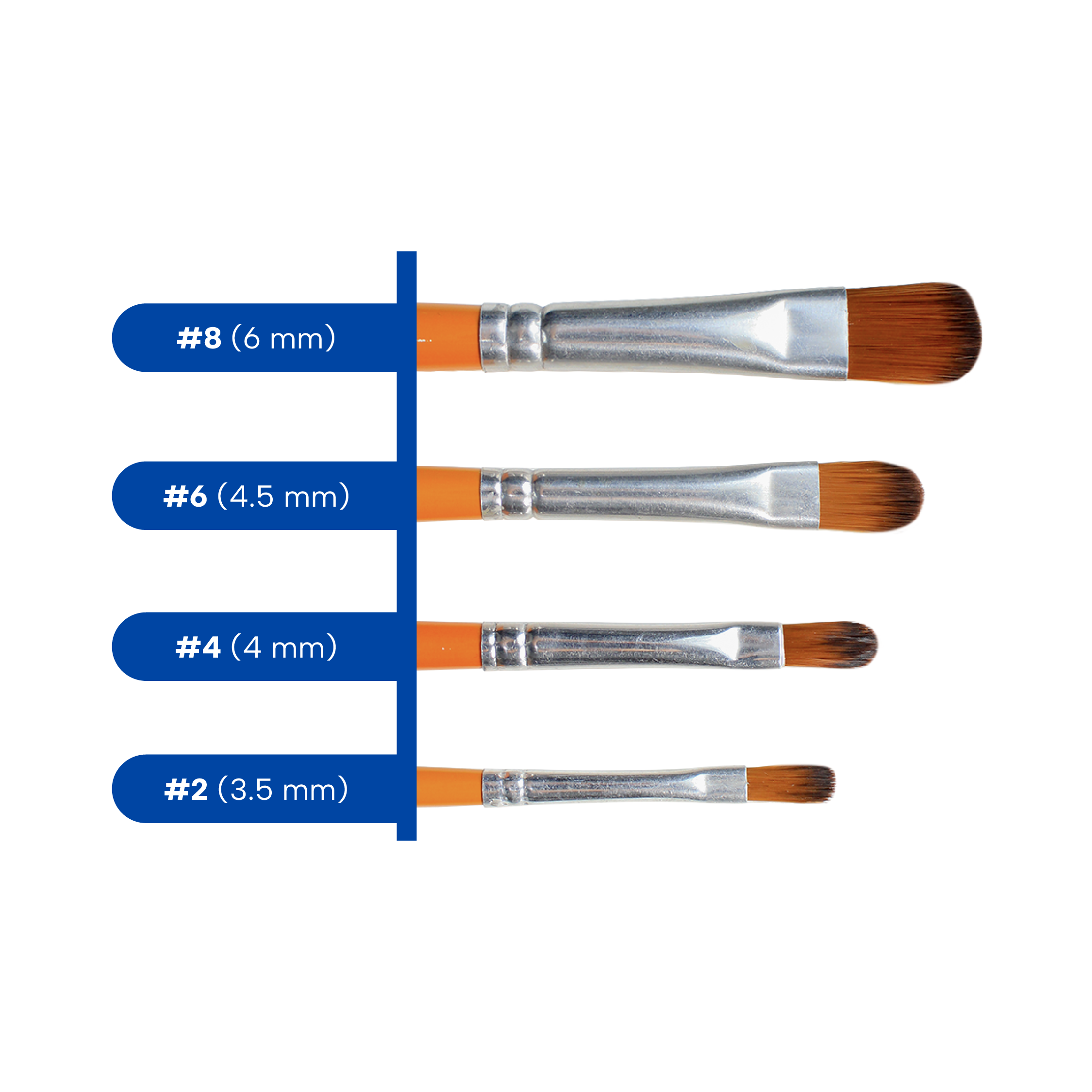 910 Lengua de Gato 3.png