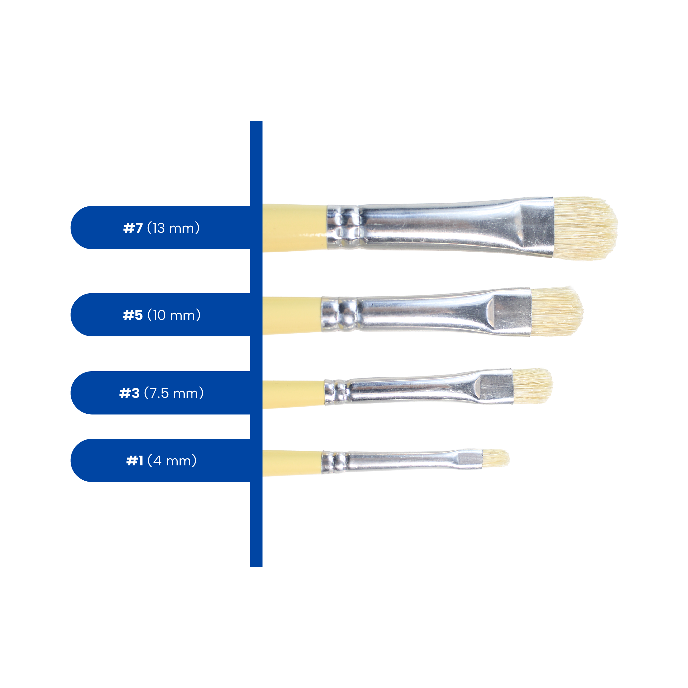 1250 Lengua de Gato_03.png