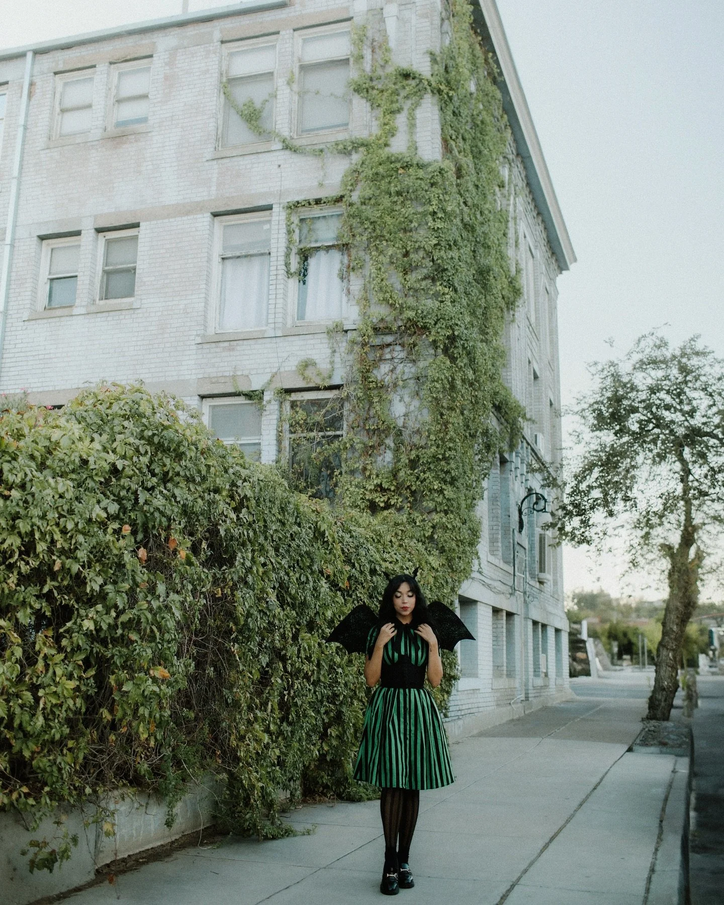 sometimes you just have to stop because the walls are so pretty. 🖤💚