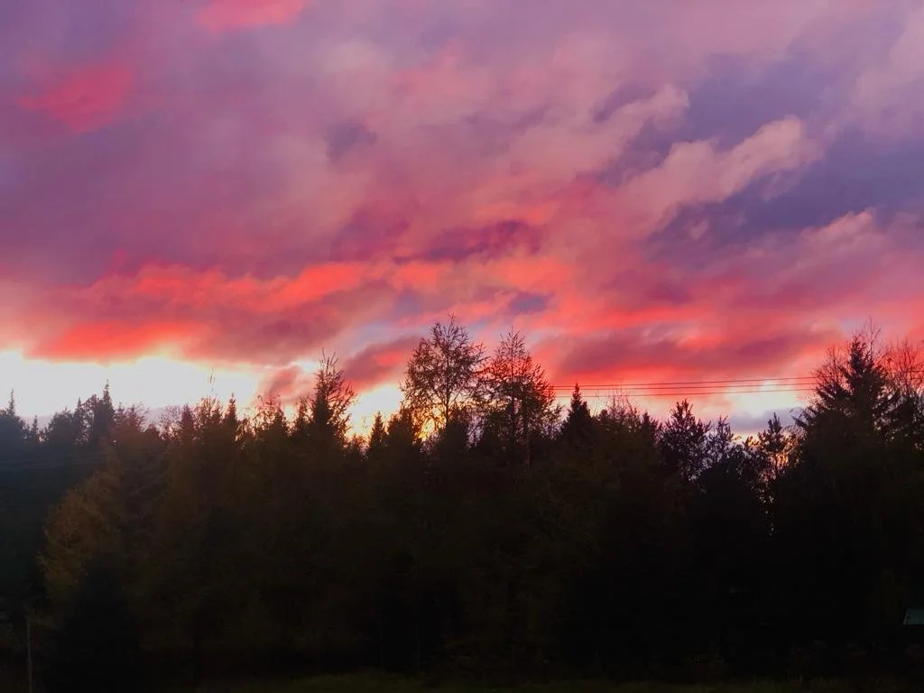 landscape sunset.jpg