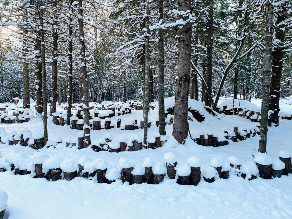 landscape winter labrynth.jpg