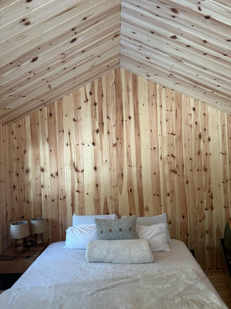 PHOTO-2024-03-12-15-10-31 2.jpg