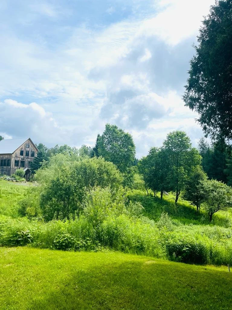 landscape with peek of barn exterior.jpg