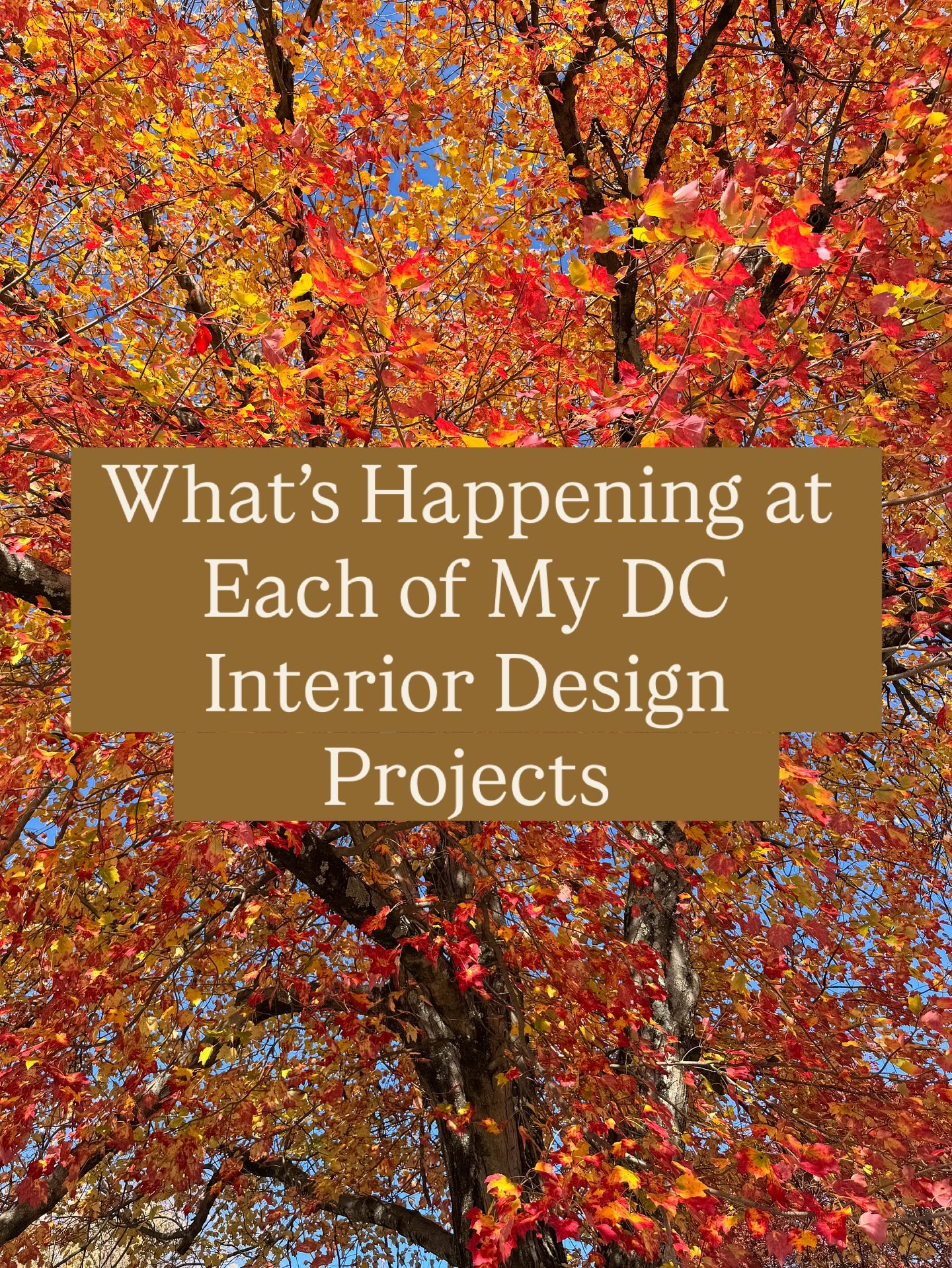 Ever dreamed of pulling back the curtain on what it&rsquo;s like to go to work as an interior designer in Washington DC - or maybe you&rsquo;re considering a project yourself and want a sneak peek? Let&rsquo;s take a look at what we were working on l