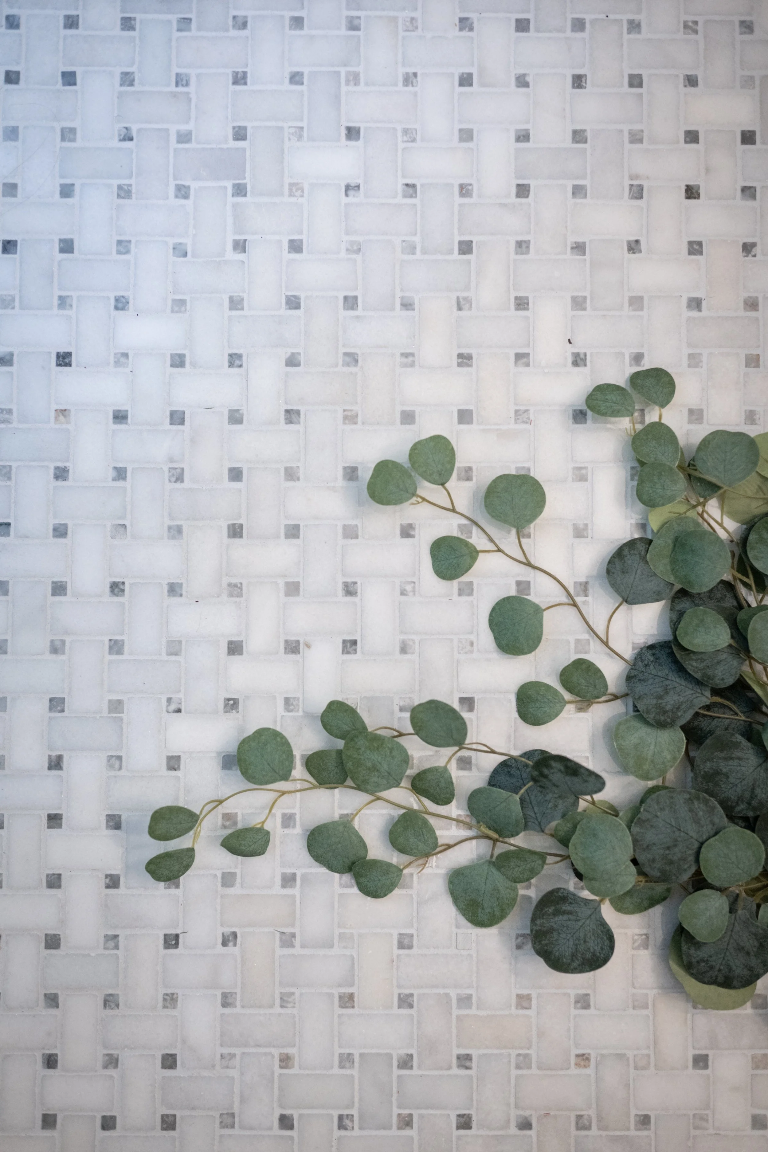 WalshBourkeInteriors  Flagler Dr-4.jpg