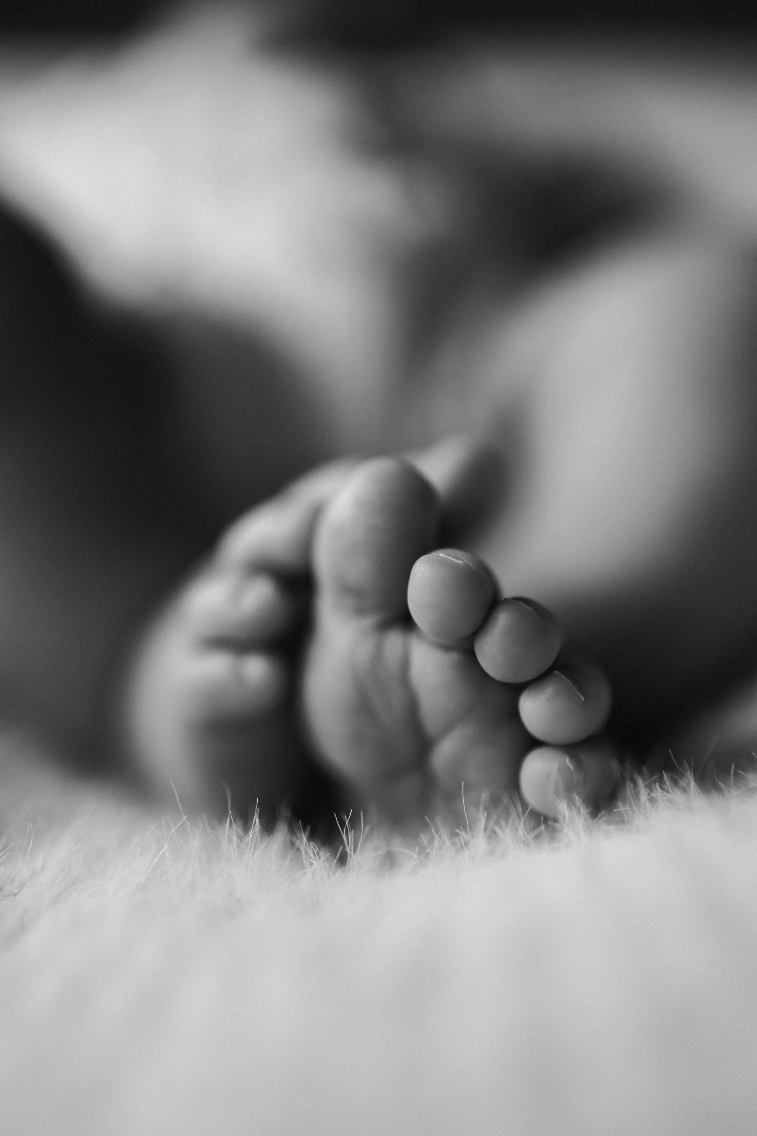 Sydney-newborn-relaxed-photography-jillian-moa-23.jpeg