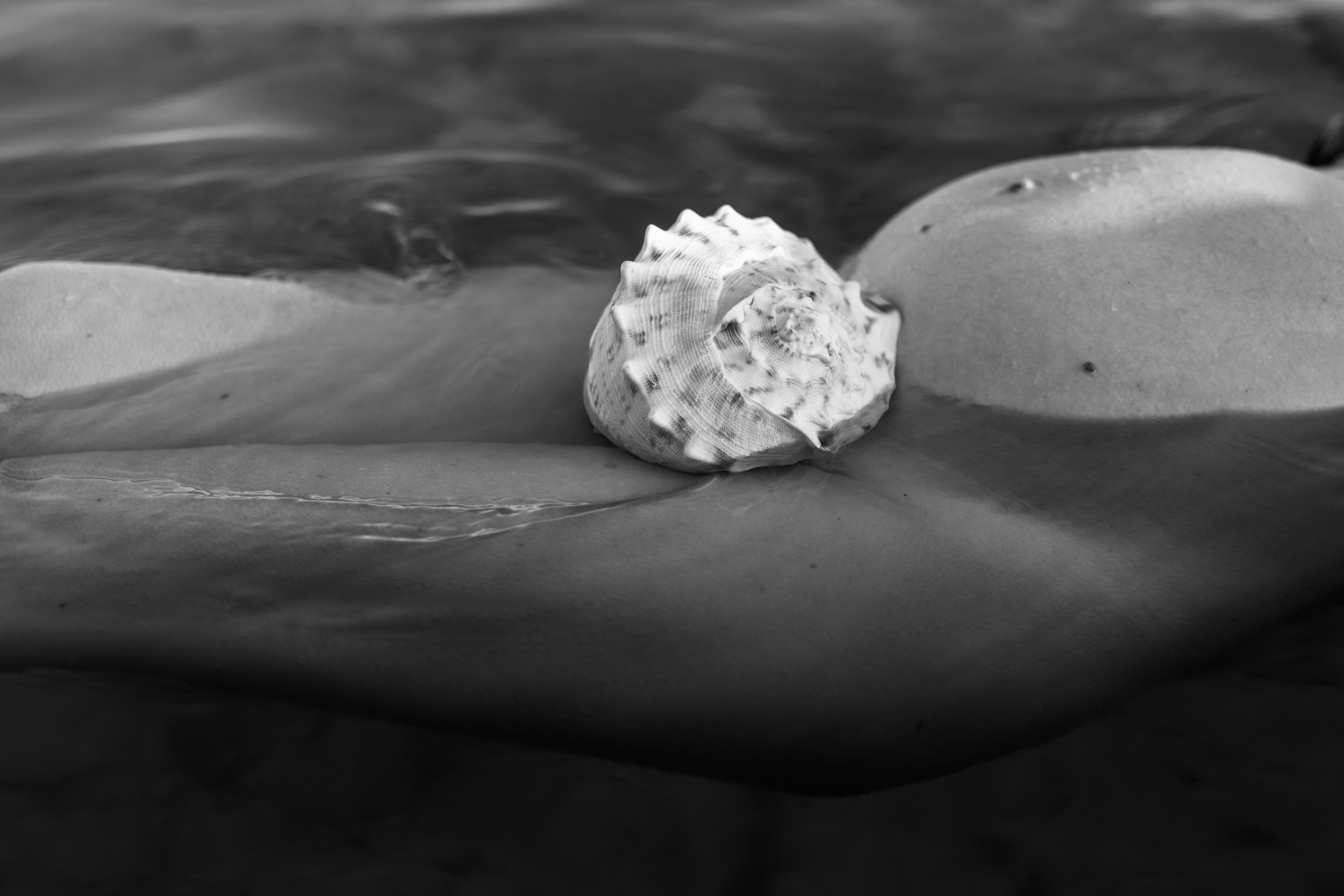 maternity-photography-sydney-jillian-moa-11.jpeg