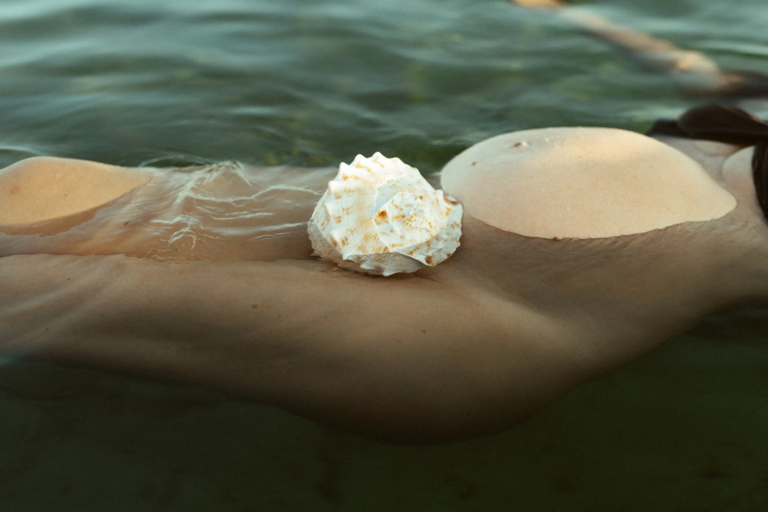 Close-up of seashells on the shoreline with the water gently washing over them.