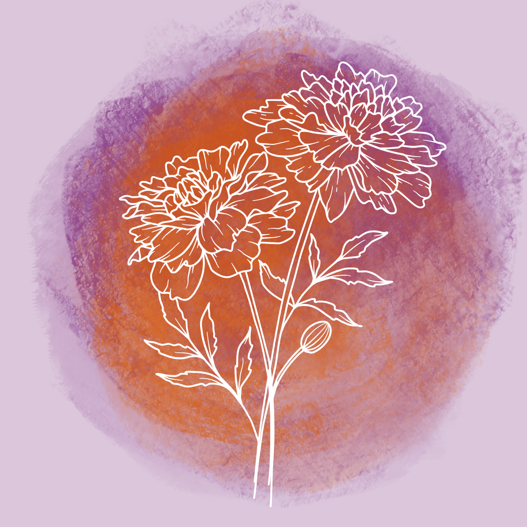 Arte y Alegría: Día de los Muertos