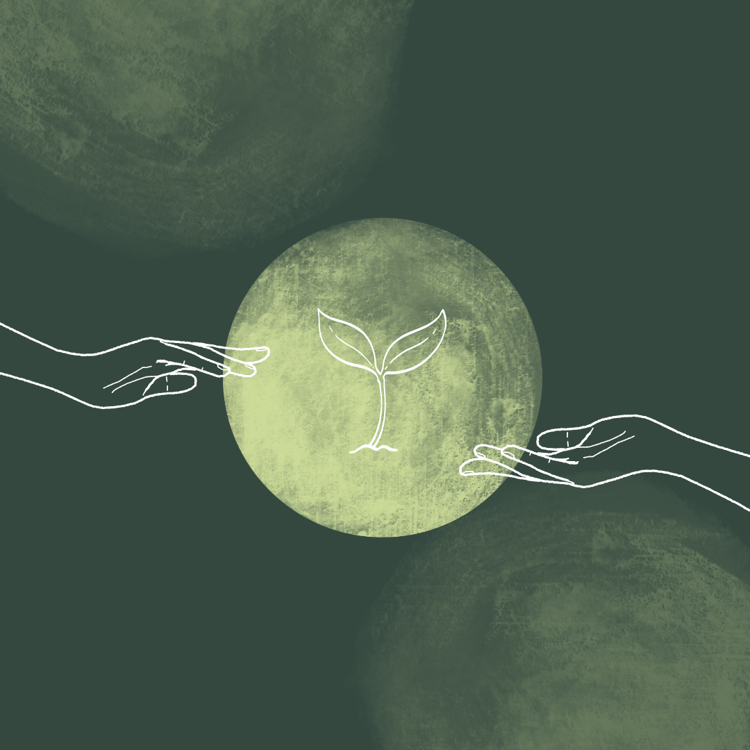 Healthy Boundaries During the Holidays Workshop