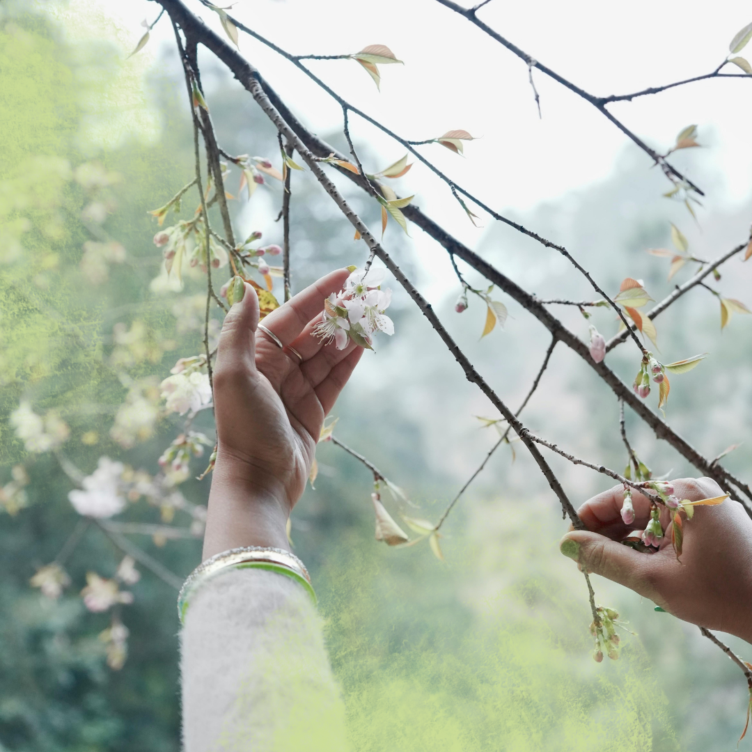 Reawakening With Nature