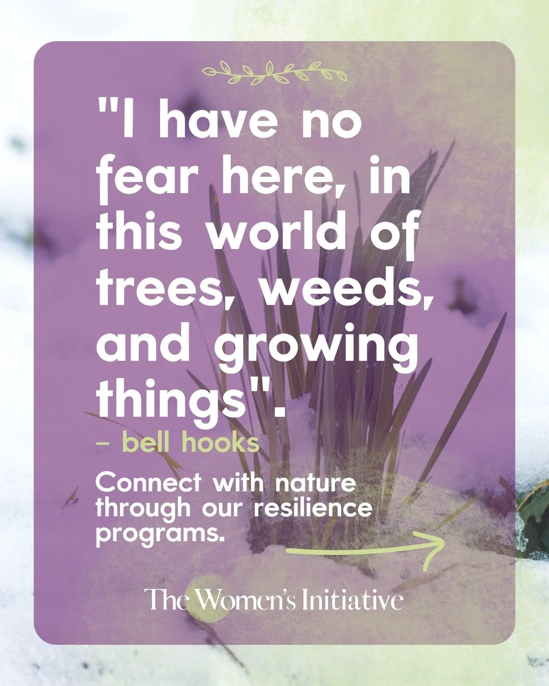 As the seasons begin to shift, we&rsquo;re offering ways to reconnect with nature, movement, and yourself. 🌿

Join us for Monthly Nature Walks with TWI, beginning February 1 at Riverview Park, and Reawakening With Nature, a gentle Thursday series at