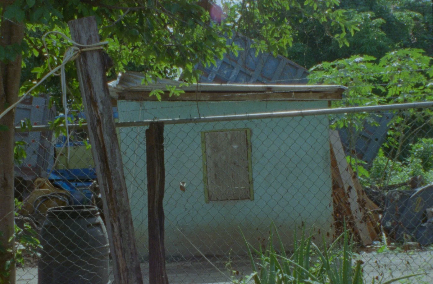 Within The Flesh | Still 15