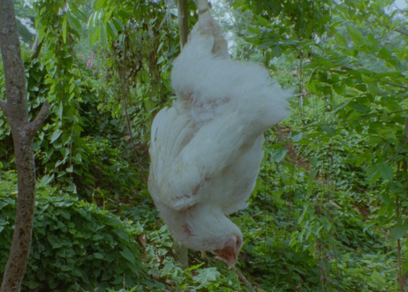 Within The Flesh | Still 12