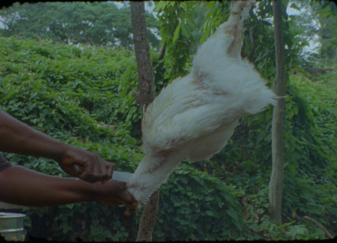 Within The Flesh | Still 14