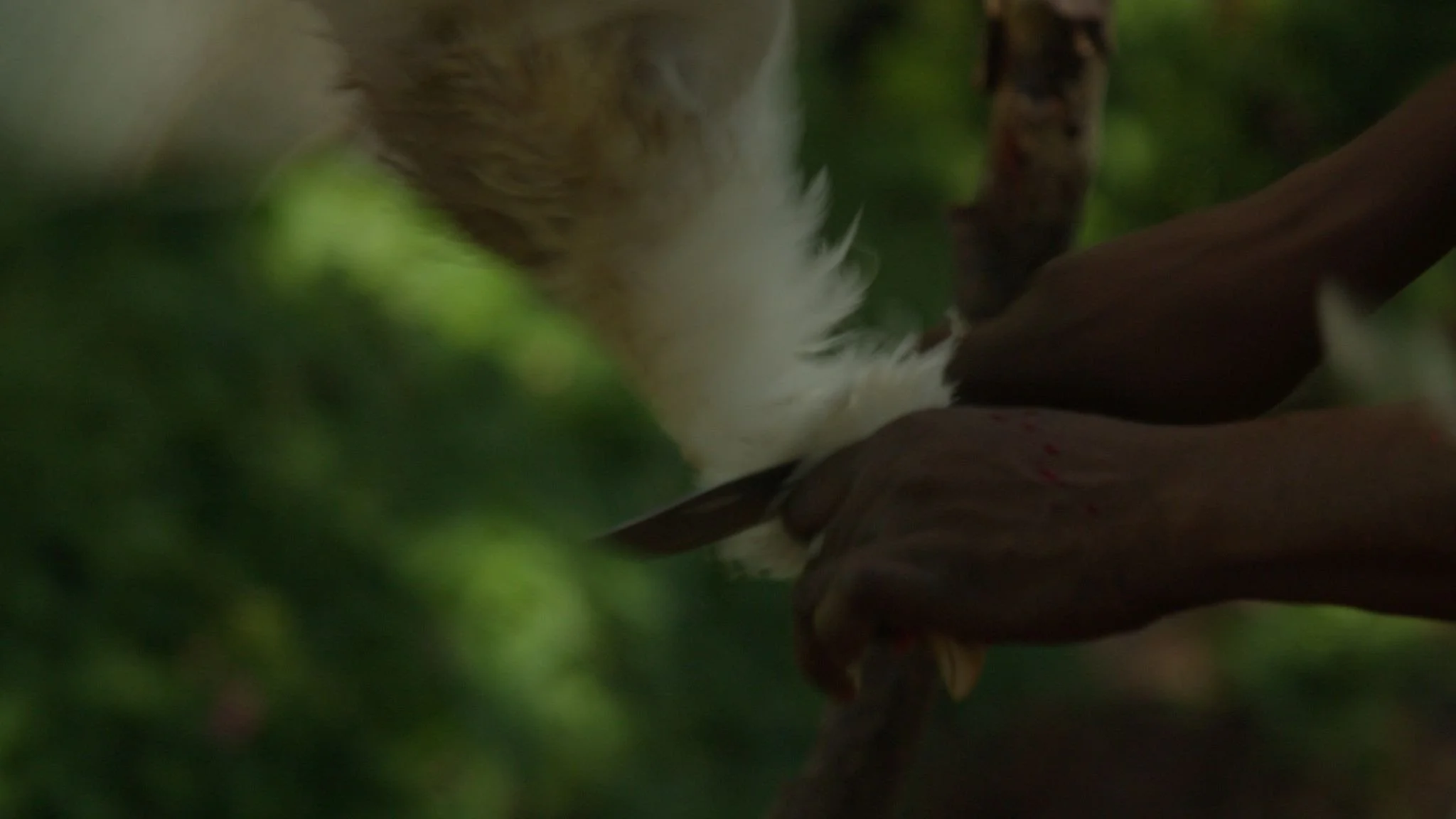 Within The Flesh | Still 20