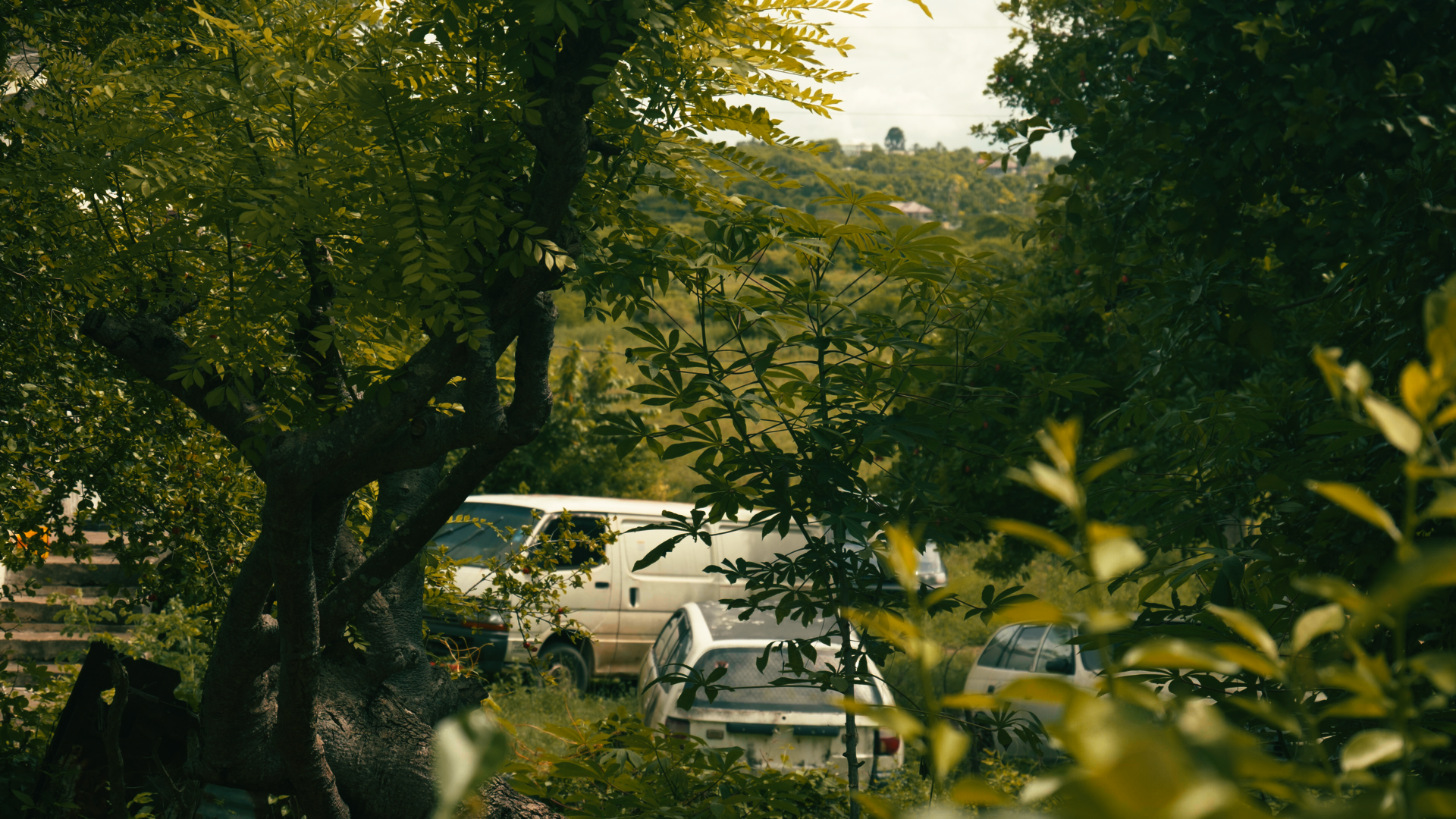 tho stills_1.30.1.png