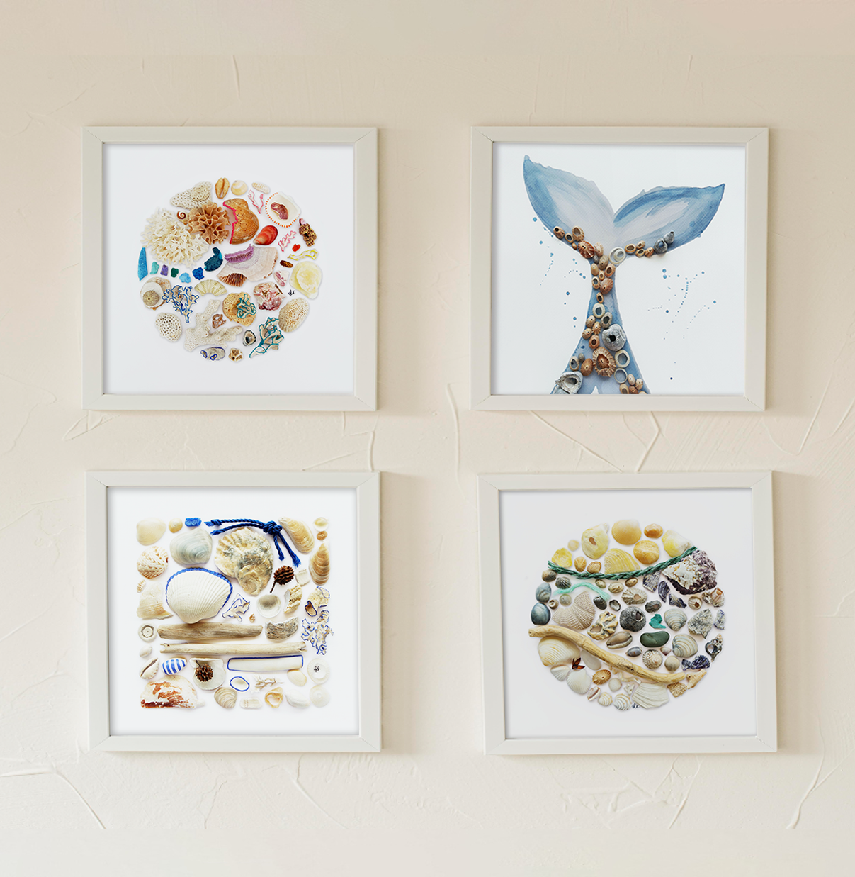 Digital Shell Artwork Prints