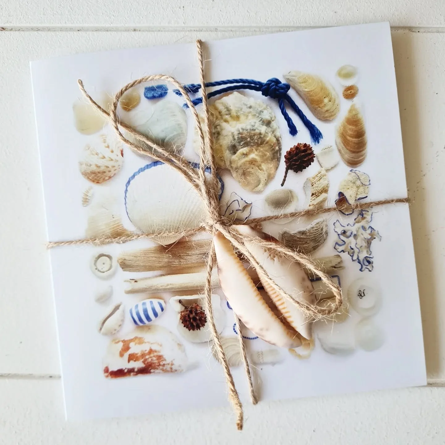 π Just a little coastal magic π
I couldn’t resist adding a real shell and twine for this gift to a friend — because who doesn’t love a bit of seaside sparkle? β¨
My assorted card packs are now fully re-stocked at @junctioncafetann