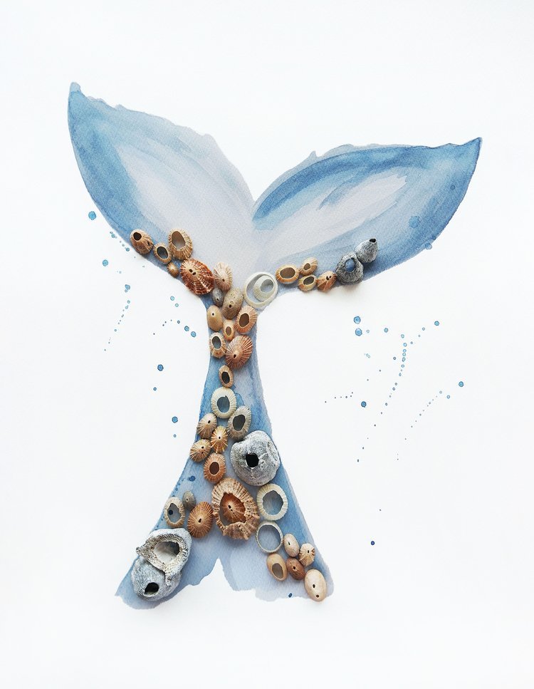 'Tannum Tail' artwork