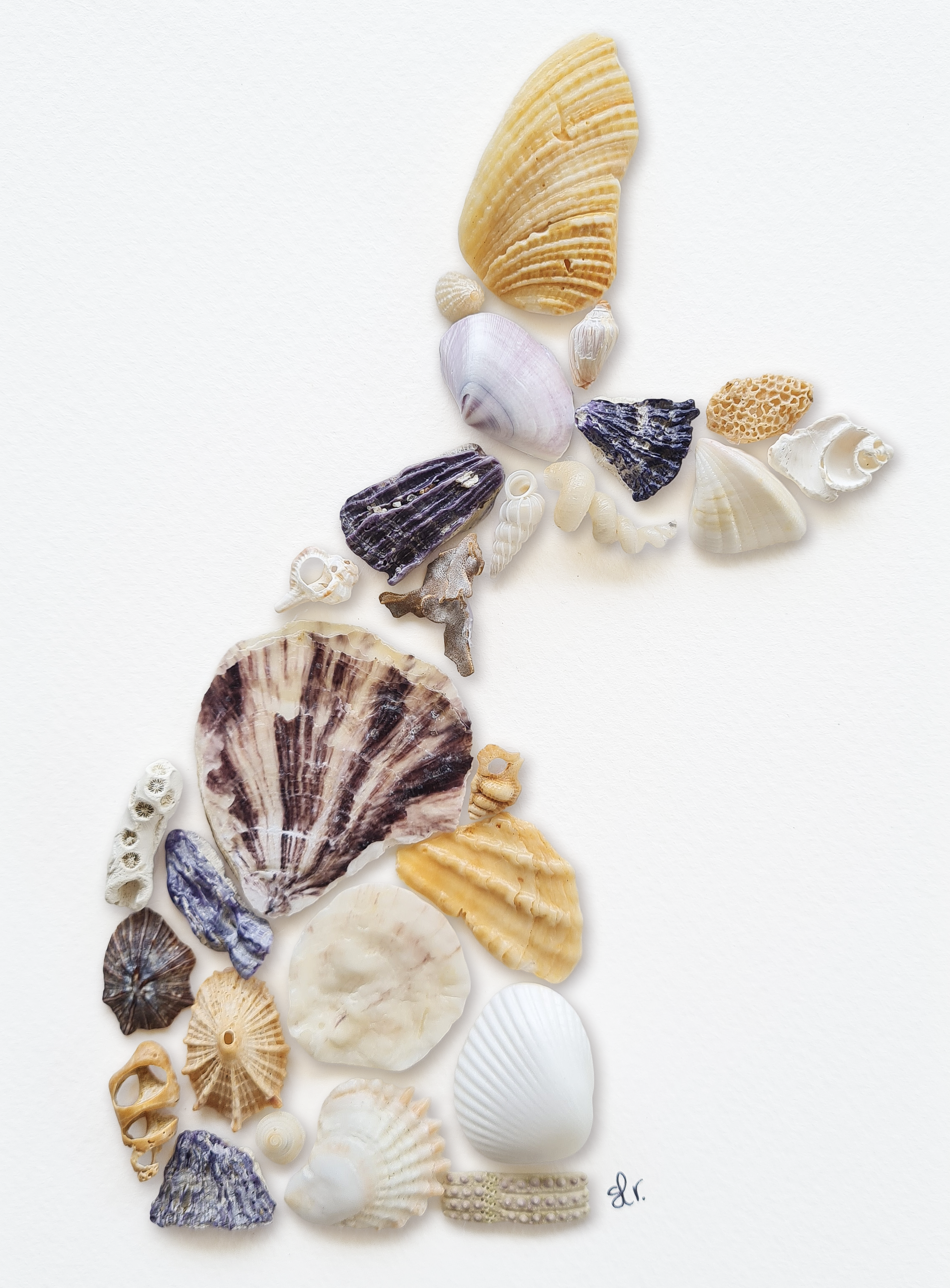 Shell Art Original Commission Pieces