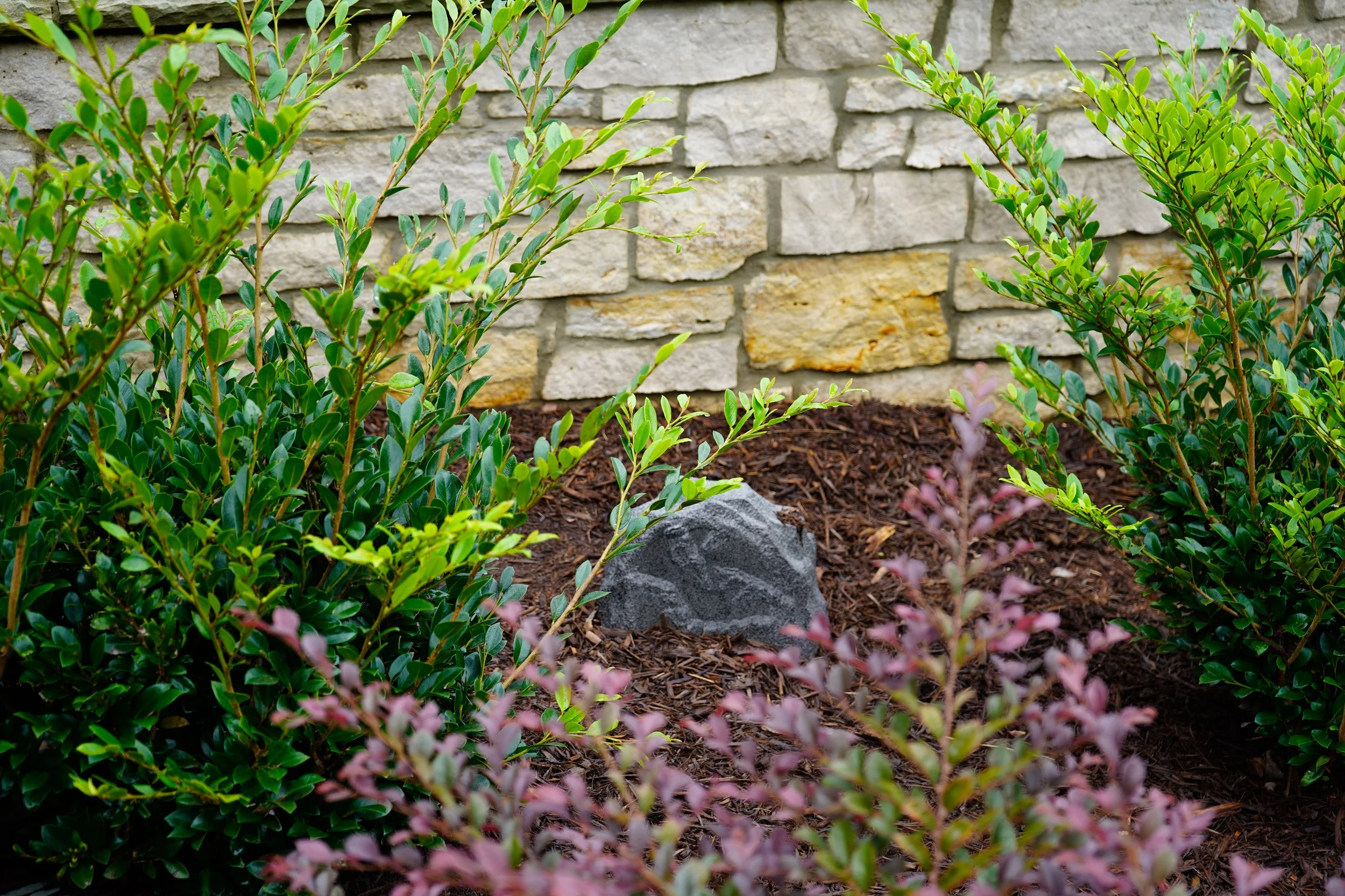 outdoor speaker that looks like a rock and part of the landscaping